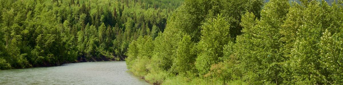 Cranbrook showing tranquil scenes and mountains