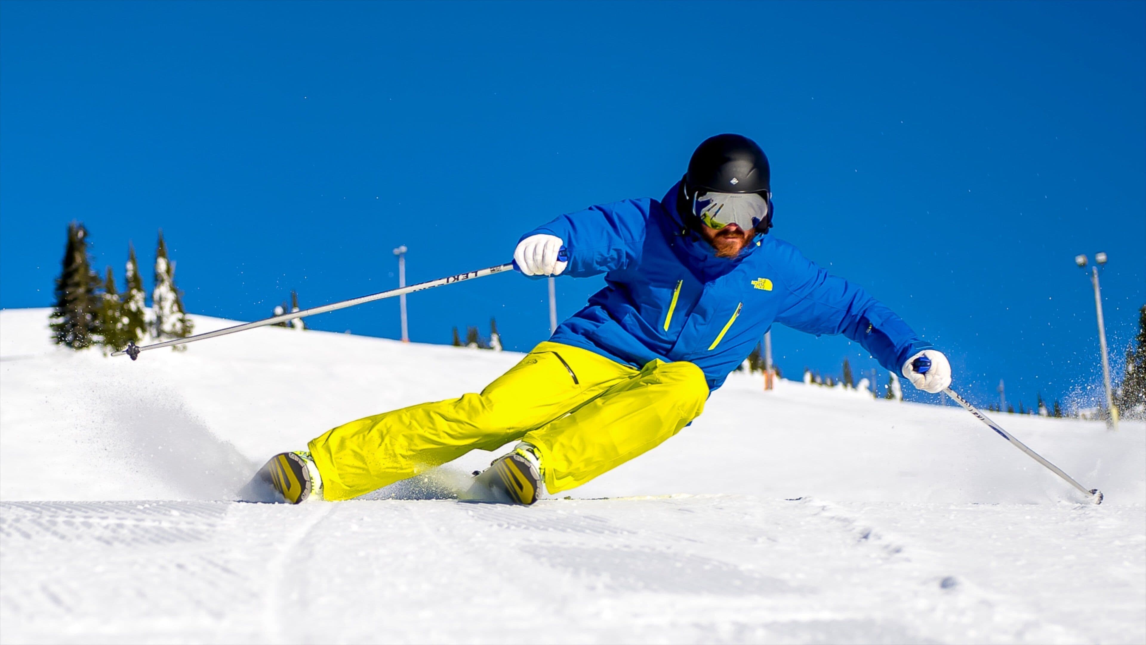 ビッグ ホワイト スキー リゾート 表示 雪 と スキー 及び 男性 (個人)