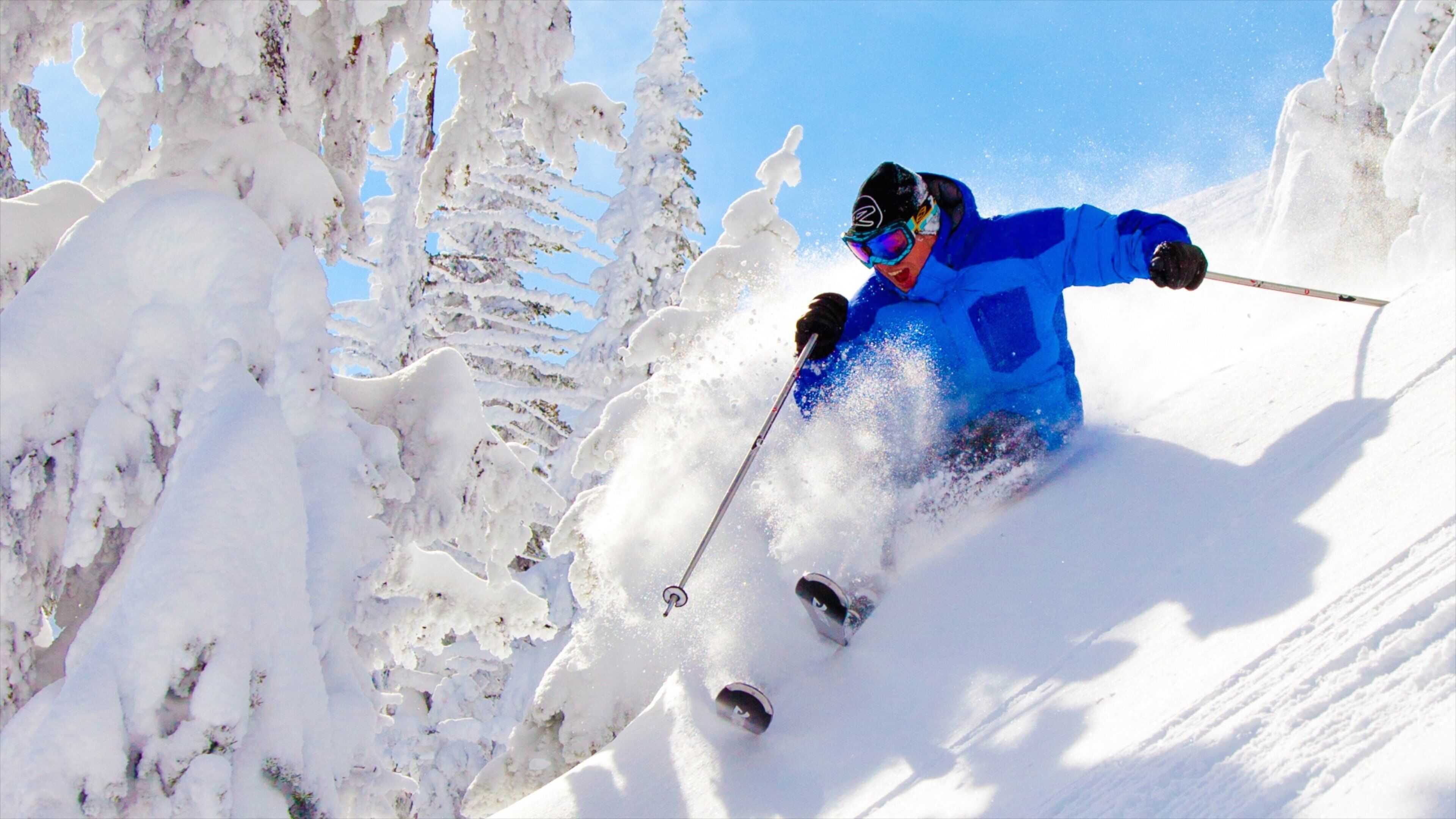 ビッグ ホワイト スキー リゾート 表示 スキー と 雪