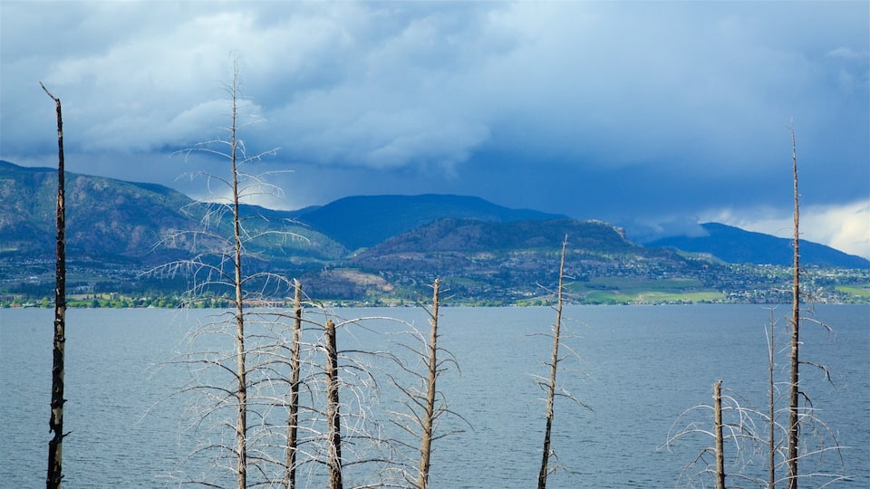 A lake with dead trees in the foreground and mountains in the background.