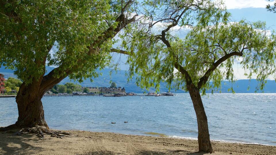 A lakeside scene with two prominent trees, a sandy beach, and a distant view of buildings and boats.