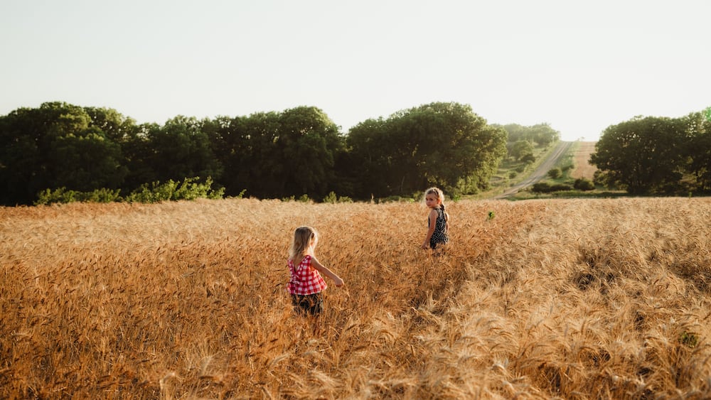 Two children playing in a field of golden wheat with trees in the background.