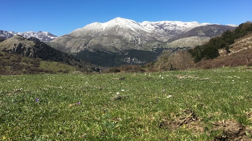 Madonie (Piano farina)