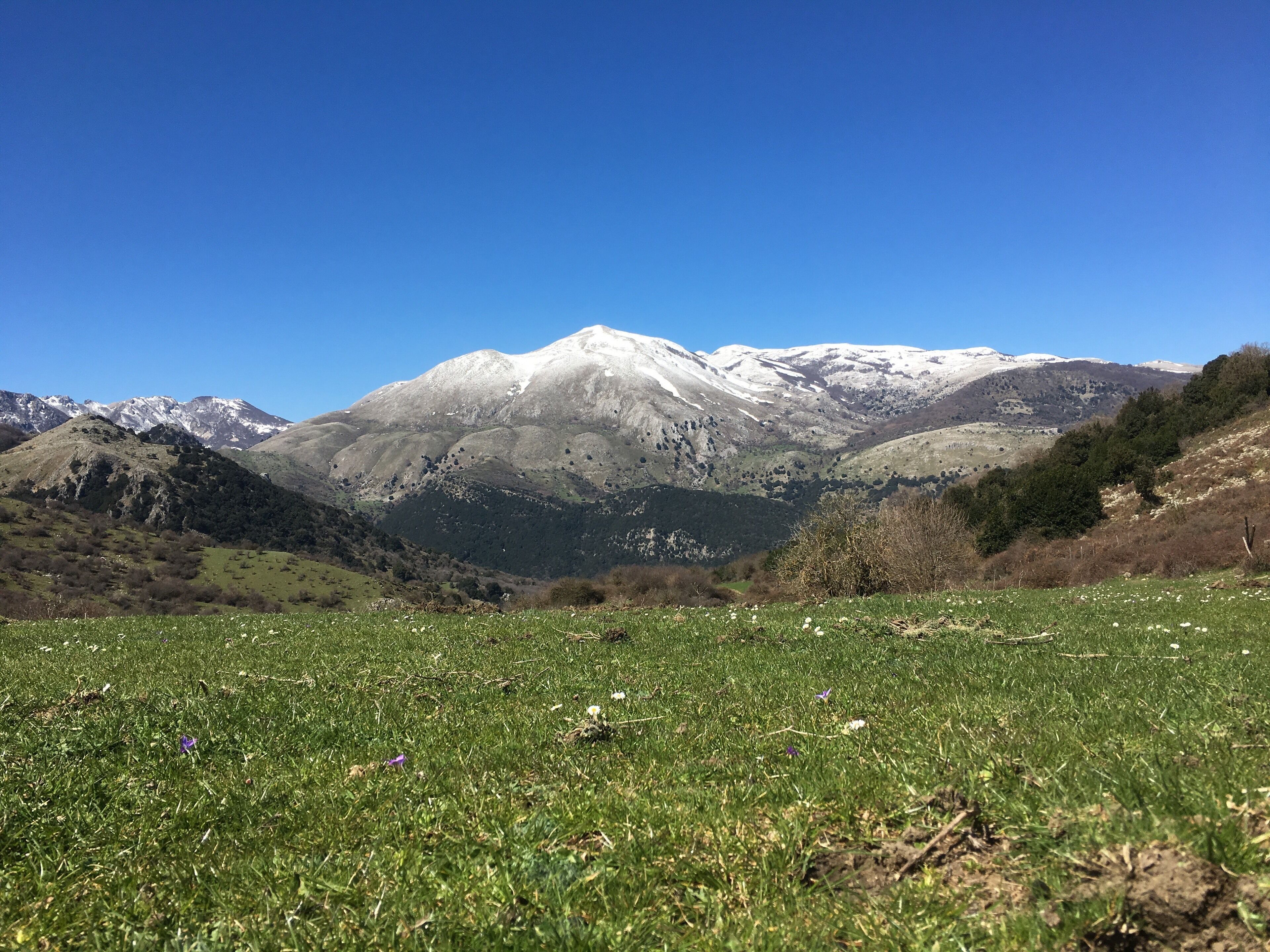 A mountainous landscape with a grassy foreground and snow-capped peaks in the background.