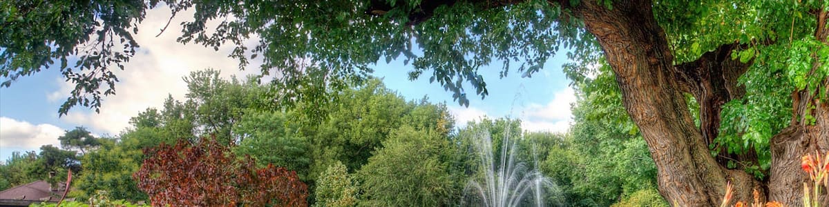 Un jardin agrémenté d’une fontaine, d’une végétation luxuriante et d’une grande variété de fleurs aux couleurs vives.