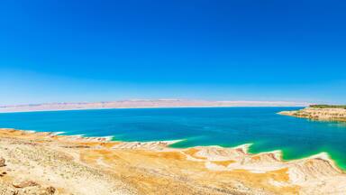 Dead Sea with Saline Deposits
