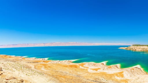 Dead Sea with Saline Deposits