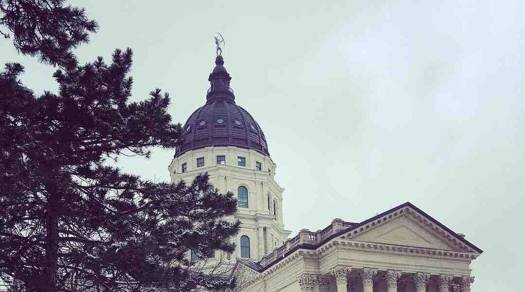 Why are so many state capitals dome shaped? 🤷🏽♀️ Only 11 states do not have a dome shape.