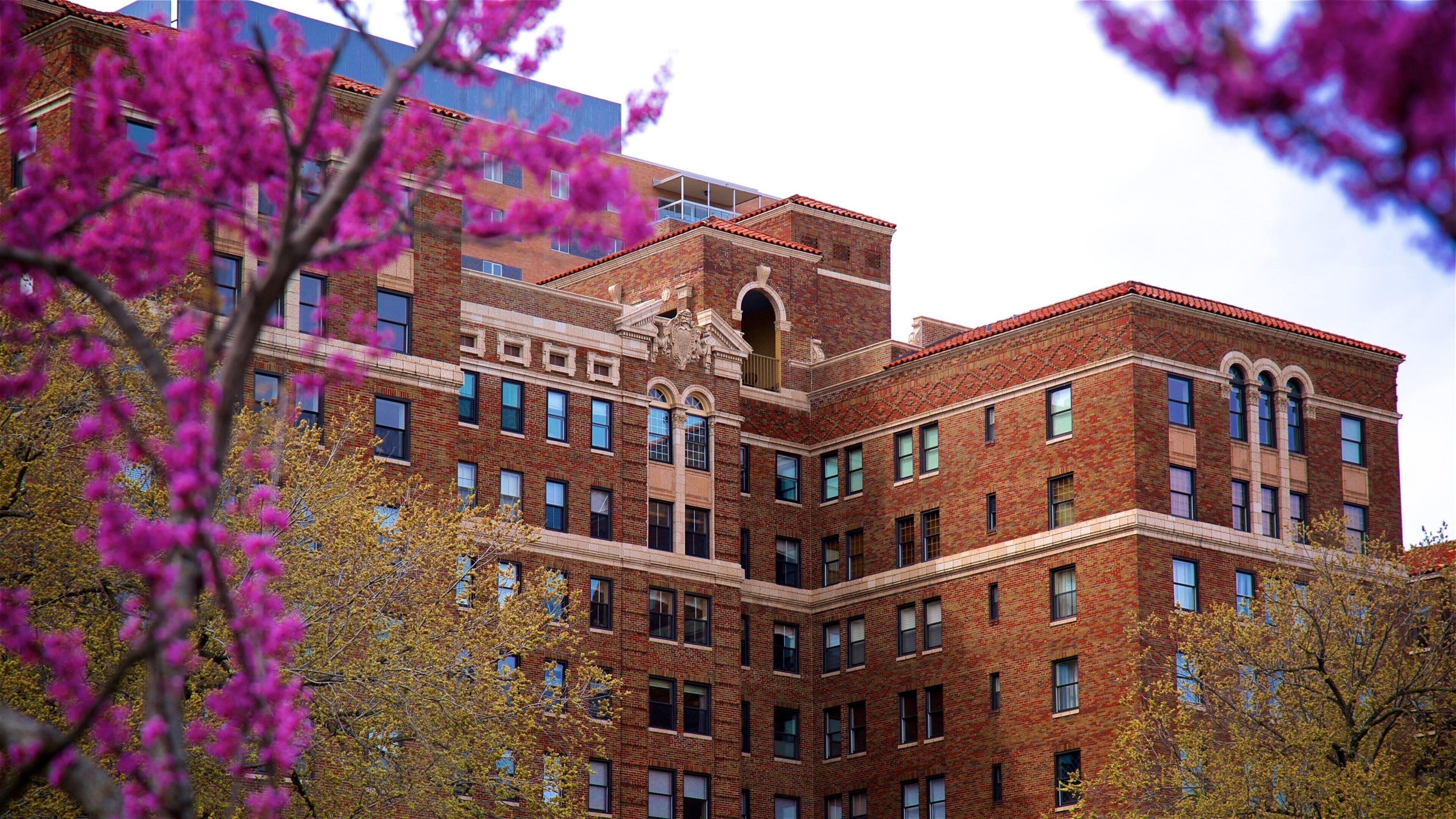 Kansas City which includes flowers, a city and a park