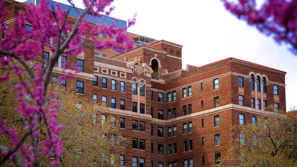 Kansas City featuring a city, a garden and flowers