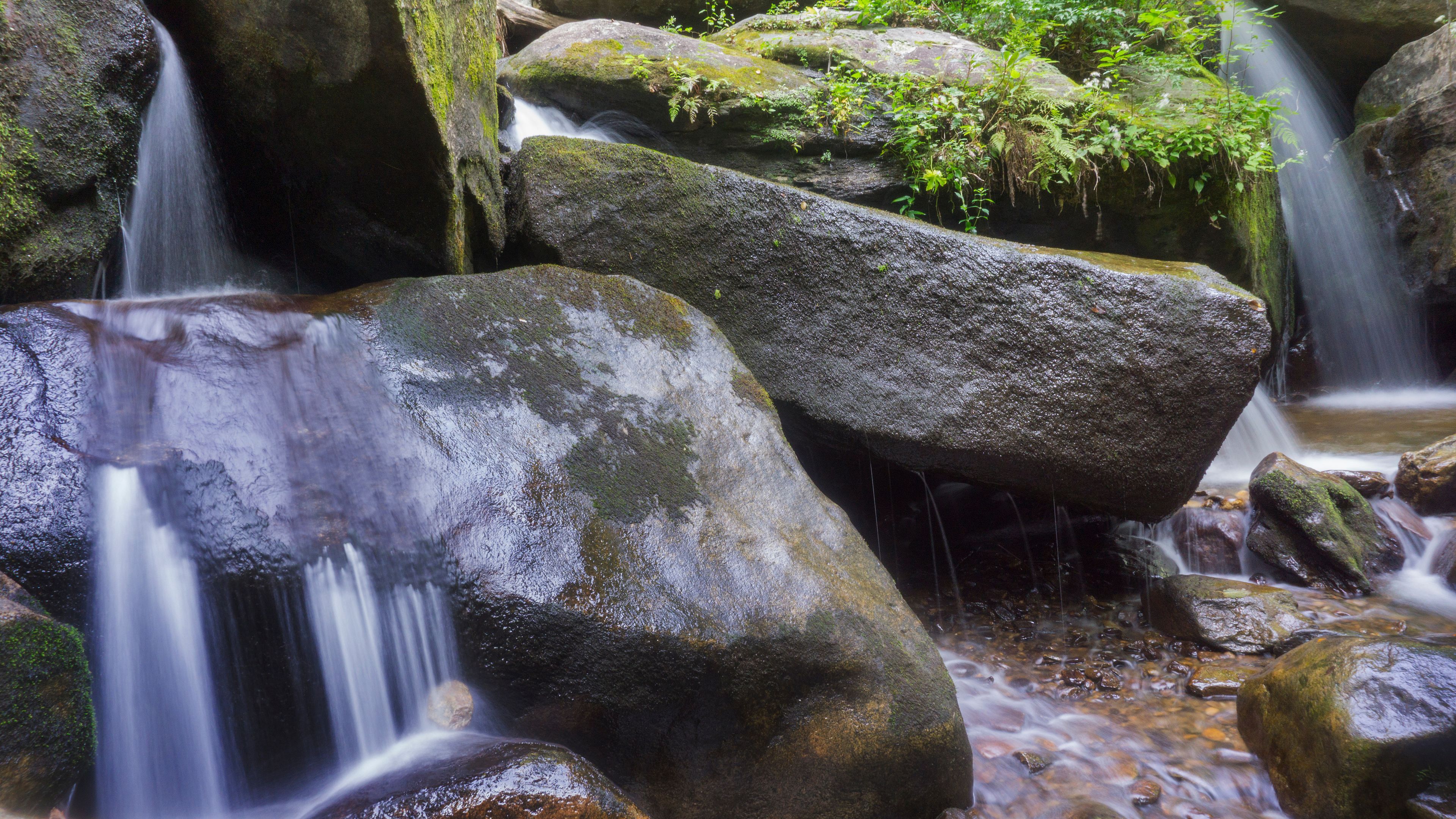 Cascading waterfall in the mountains of Western North Carolina.
