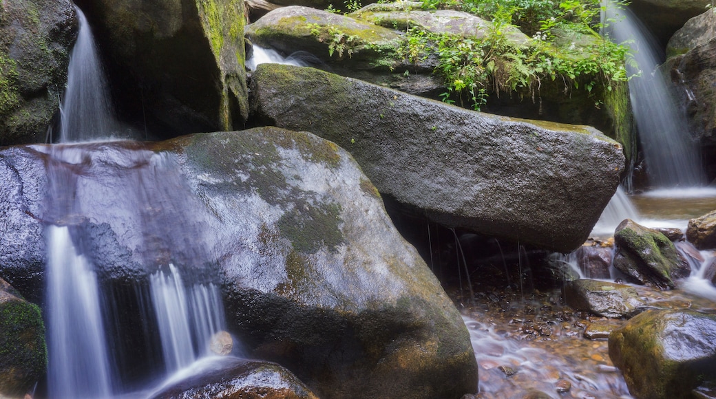 A waterfall cascading over moss-covered rocks in a forested area.