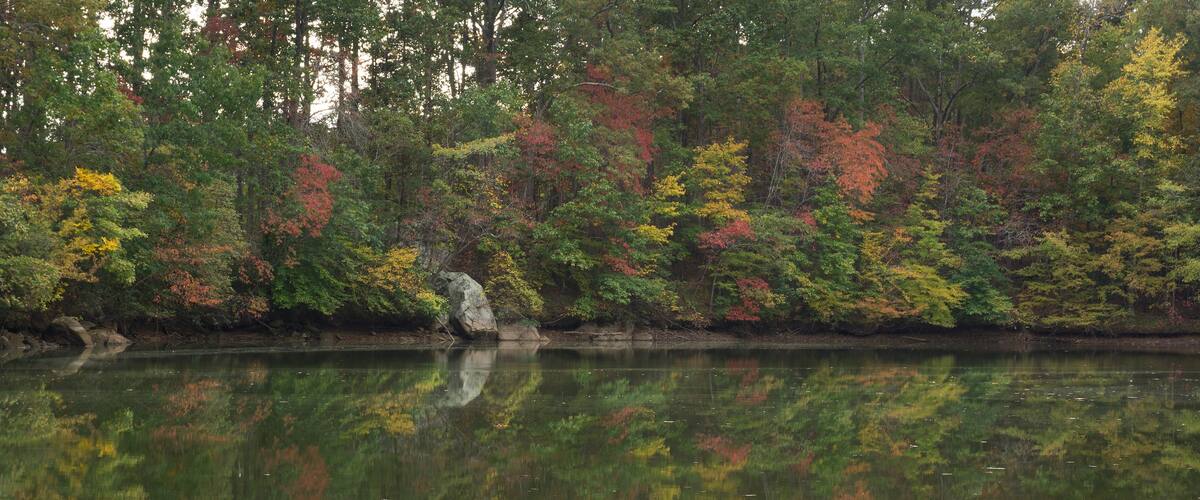 A scenic autumn view of colorful forest foliage reflecting on a lake.