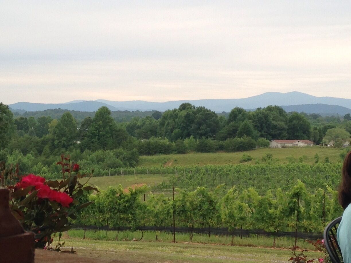 The view from the back patio at Round Peaks Winery.