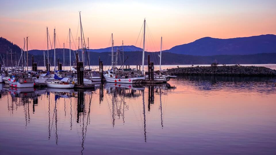 Sailboats at marina at sunset - Cowichan Bay, Vancouver Island, British Columbia, Canada