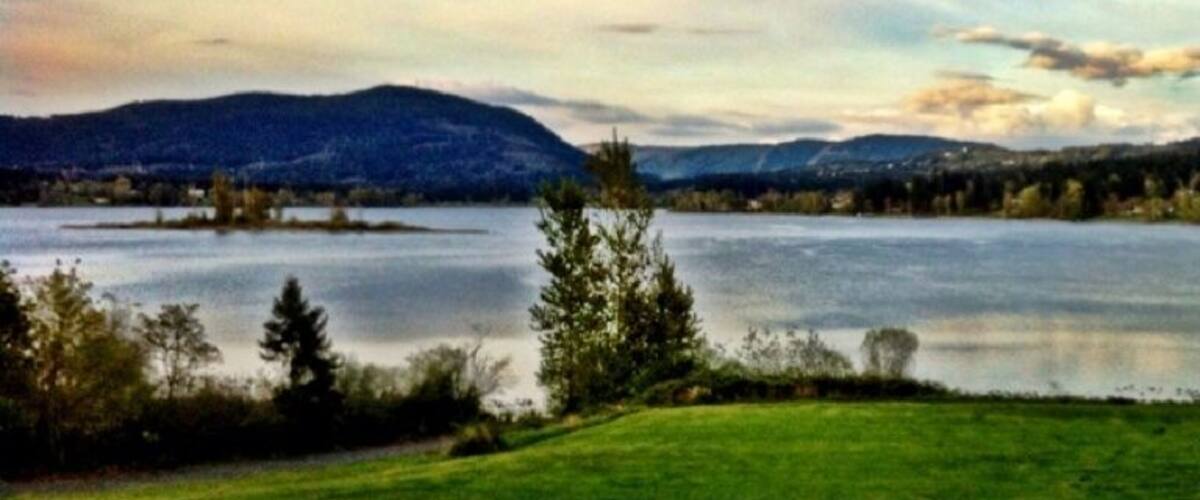 A lake with a grassy foreground and distant mountains.
