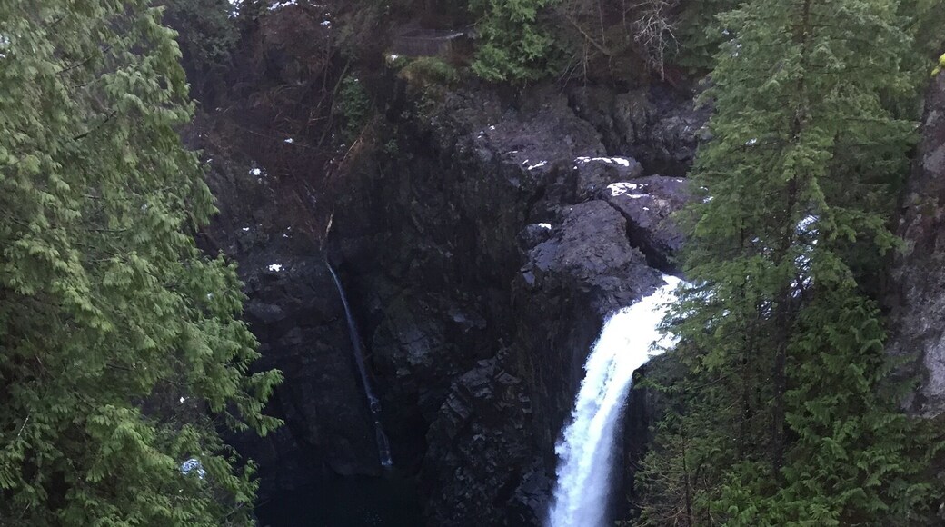 Elk Falls rivals Niagara Falls with its natural beauty in the magnificent rainforest of central Vancouver Island.