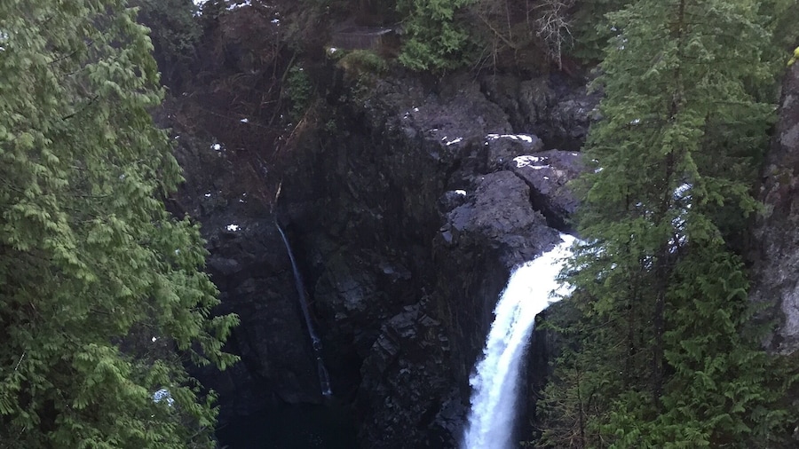 Elk Falls rivals Niagara Falls with its natural beauty in the magnificent rainforest of central Vancouver Island.