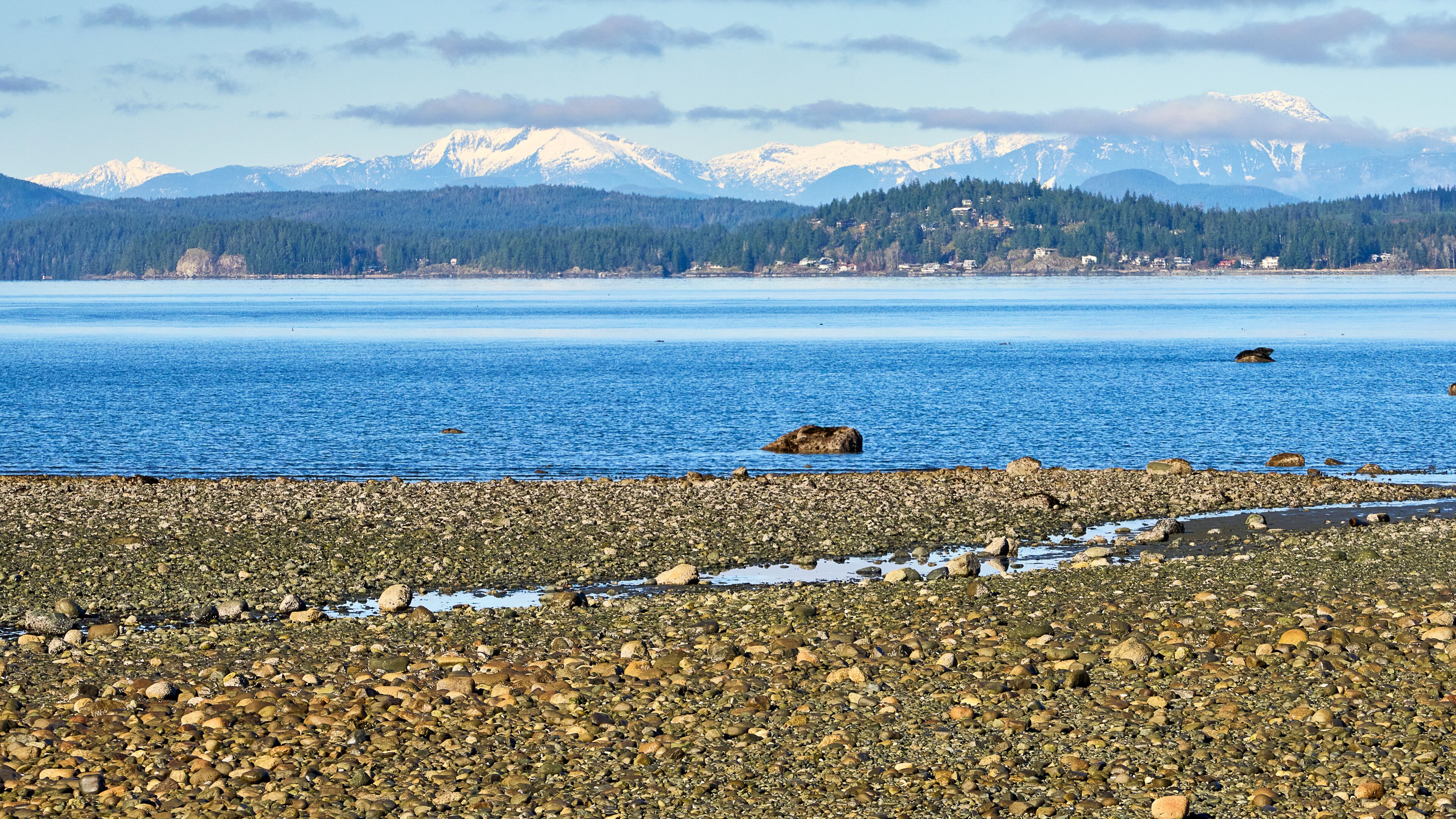 A rocky shoreline with a calm lake, snow-capped mountains in the background, and a forested hill.