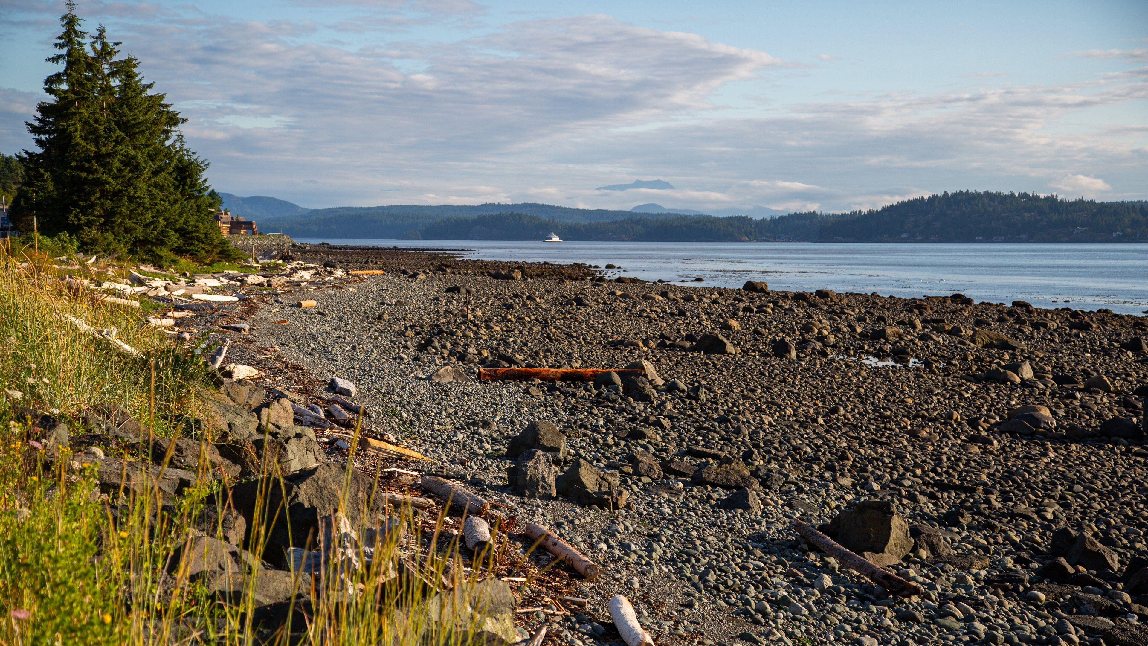 A rocky shoreline with driftwood, a coniferous tree, and a distant view of a boat on the water.
