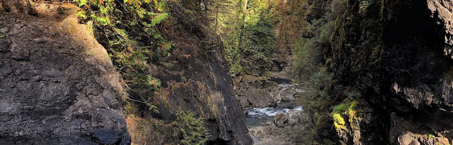 As you can freely walk pretty much wherever you like on the easy and serene loop trail, I'm standing right at the edge of the 25 metre (90') high elk falls.