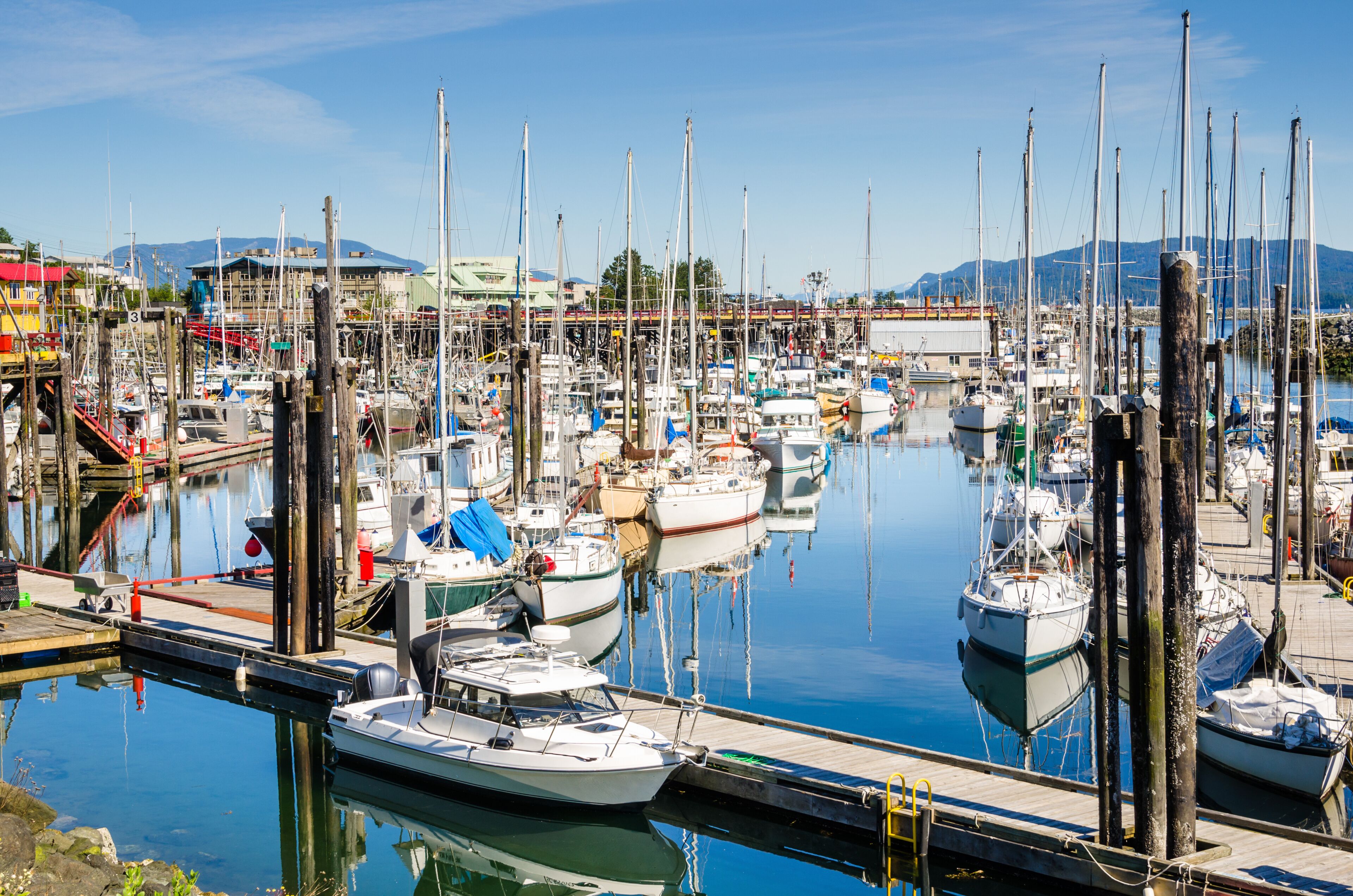 Harbour with Boats Tied up to Jetties on a Clear Summer Morning. Campbell River, Vancouver Island, BC, Canada.