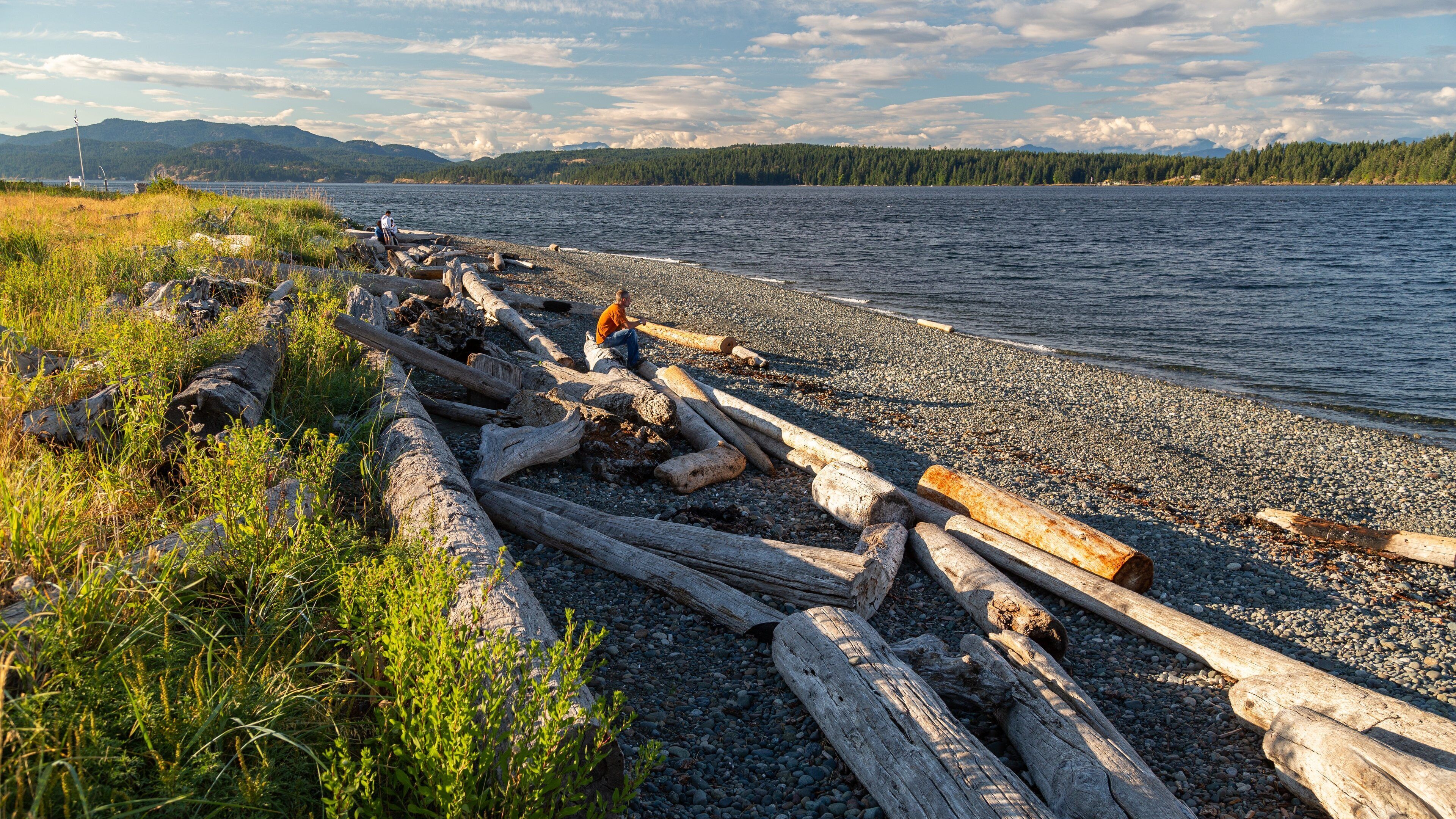 A pebbled shoreline with driftwood and a person sitting on logs.