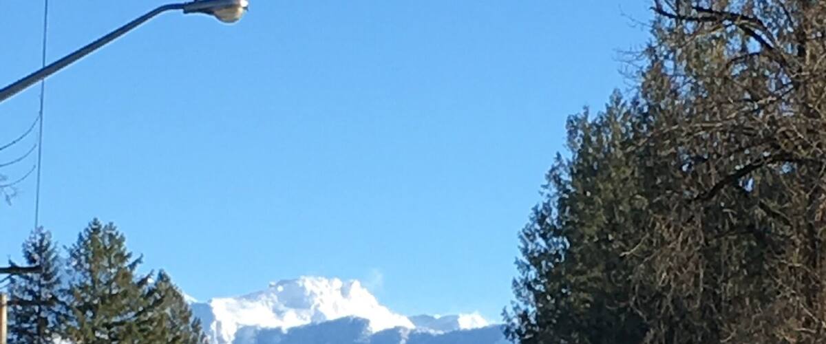 A road with a mountain in the background.