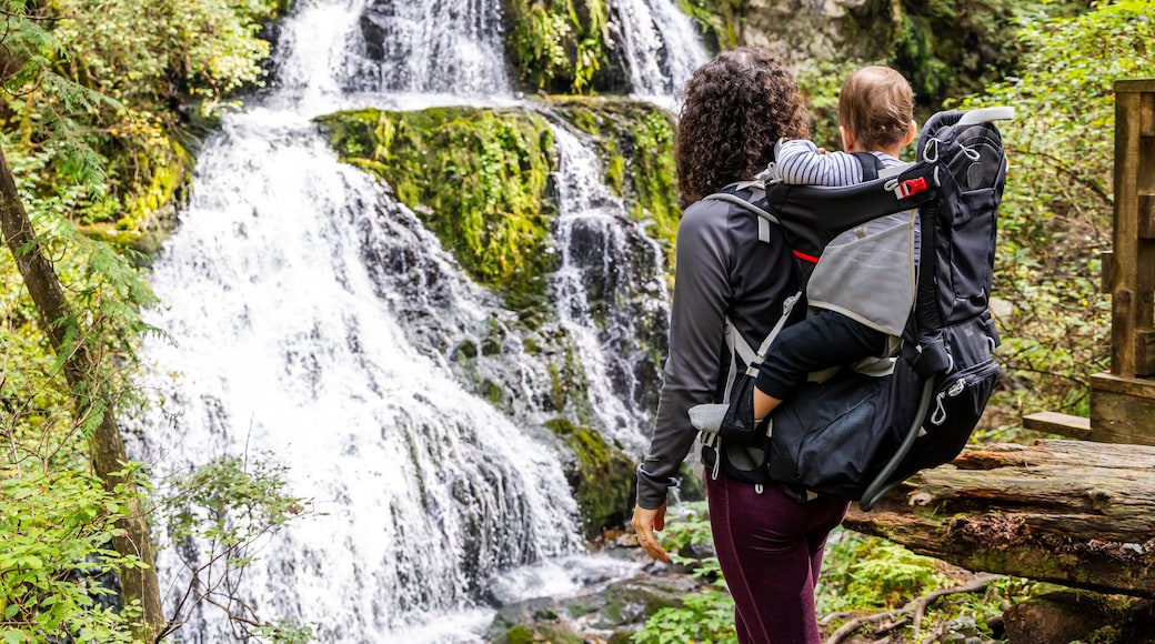 Mother and Child Enjoy Scenic Waterfall Hike in Mission, British Columbia, Canada