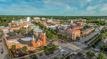 An aerial view of a town with a prominent church, a mix of commercial buildings, and a green landscape in the background.