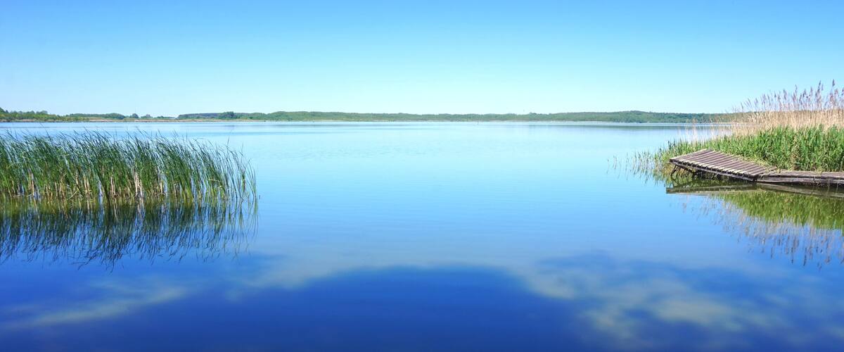 A calm lake with a wooden dock and tall grasses on the right.