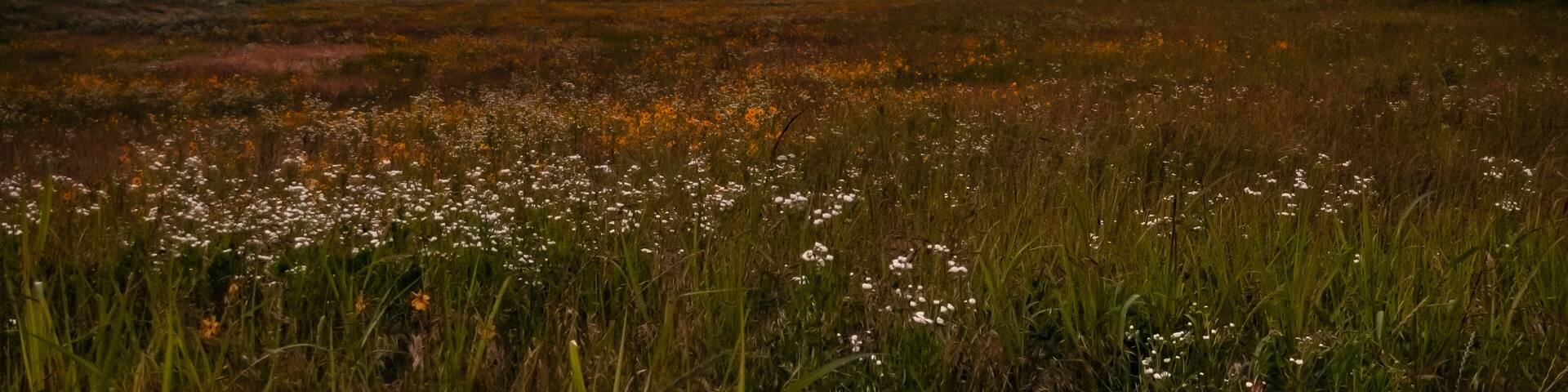 Countryside with wildflowers, road and mountains, eastern Oklahoma, highway 59 bridge over the Arkansas River.