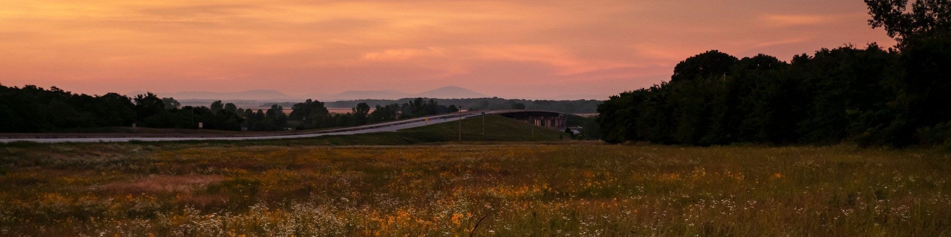 A sunset over a field with a bridge and trees.