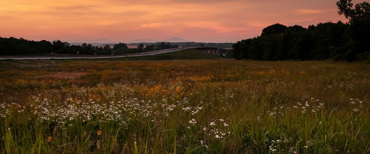 A sunset over a field with a bridge and trees.