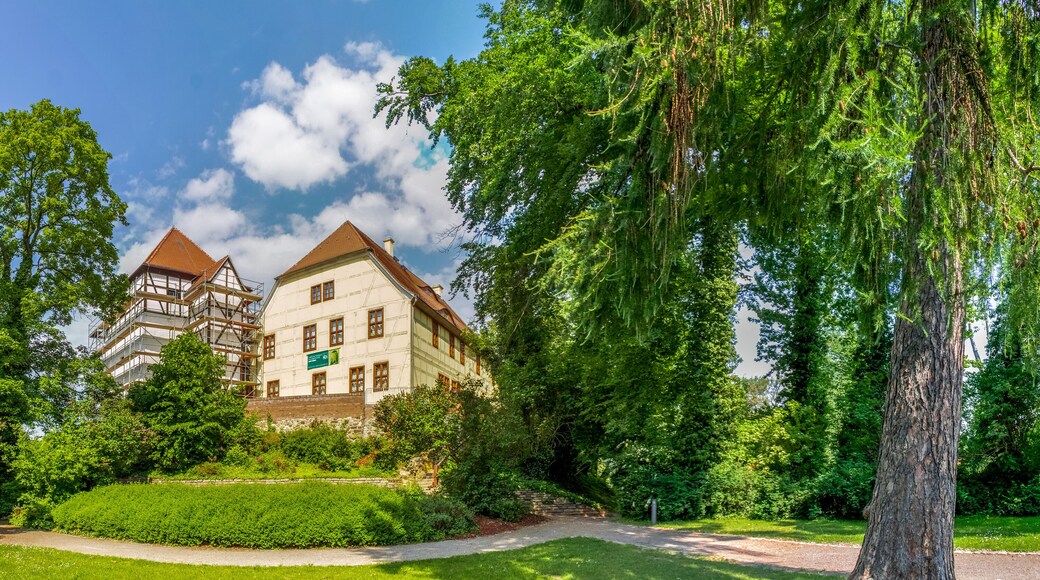 バート デューベン