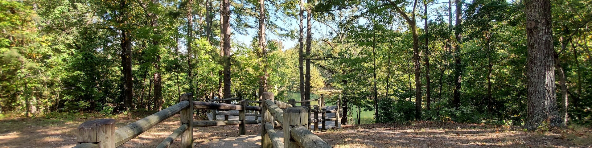 A wooden bridge in a forest with tall trees and a clear sky.