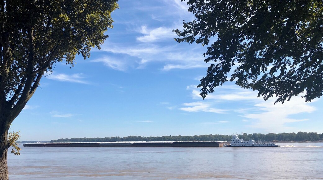 This is a wonderful campground located on the ‘wrong side of the levee’ along the banks of the Mississippi River - it does close occasionally due to flooding. It’s a wonderful place to sit and watch the traffic go by.
This one is six barges long by three wide making his way upriver, empty. ( the average barge is 200 feet long by 35 wide making this one 1200 feet long by 105 feet wide, minus the ‘pusher boat’. Which makes it bigger then the ore ships we saw earlier this year on the Great Lakes ) Capacity when full is 1,530 tons, each! Roughly half the cargo carried by these barges is grain coming from ‘up north’ to the port in southern Louisiana!