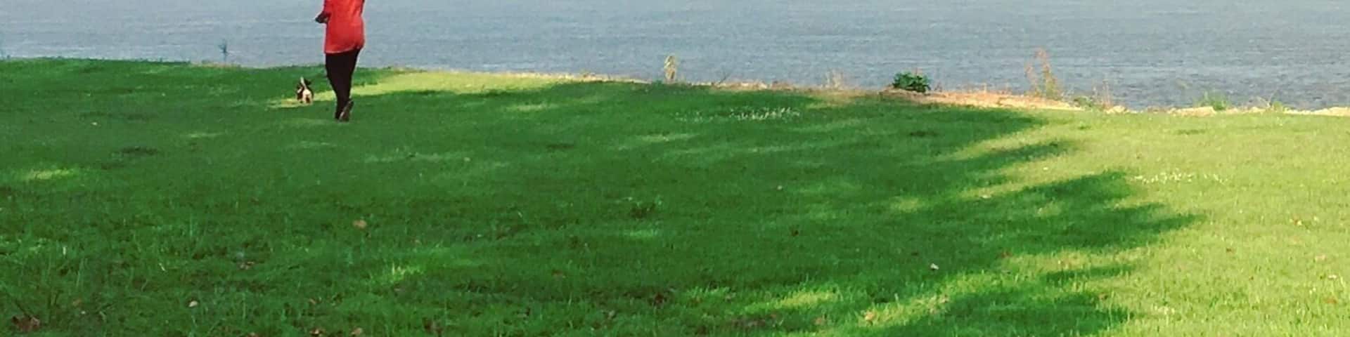A person walking on a grassy area near a large body of water with a distant shoreline and buildings.