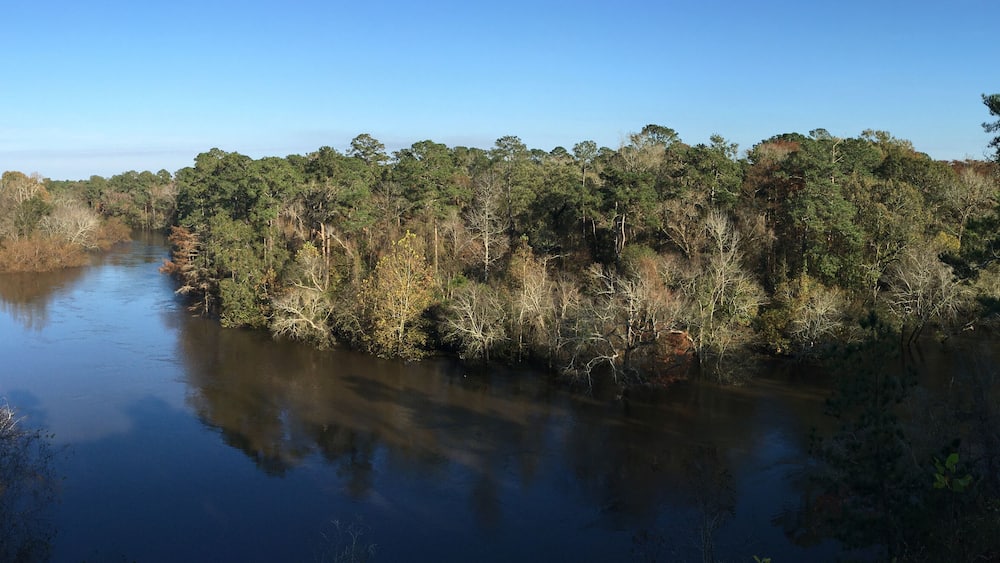 Neuse River overlook in autumn in Cliffs of the Neuse State Park North Carolina