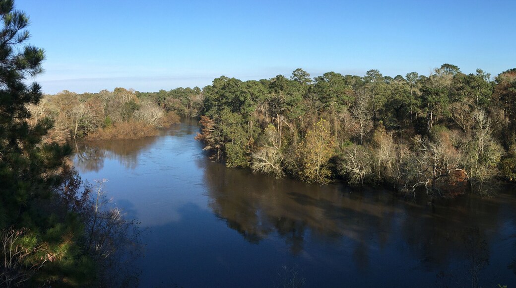 Neuse River overlook in autumn in Cliffs of the Neuse State Park North Carolina