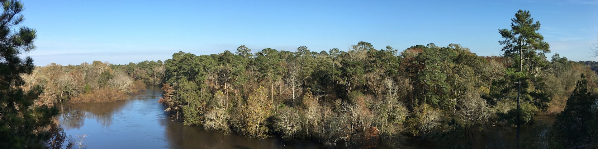 Neuse River overlook in autumn in Cliffs of the Neuse State Park North Carolina