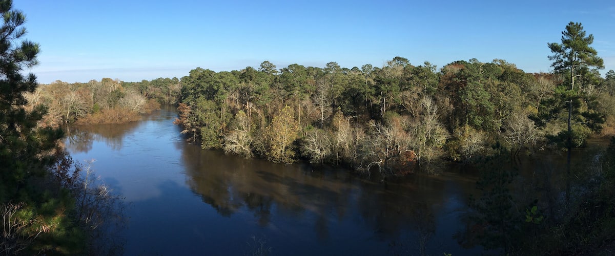 A calm river surrounded by dense forest.