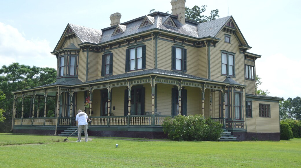 ๊ณจ์ฆ๋ฒ๋ฌ