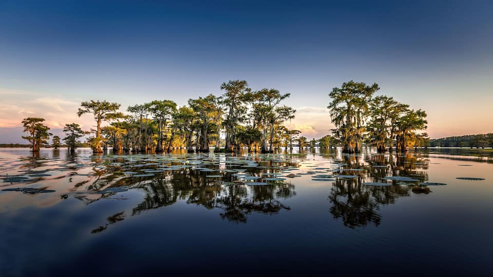A serene lake with trees reflected in the calm water, surrounded by a clear sky.
