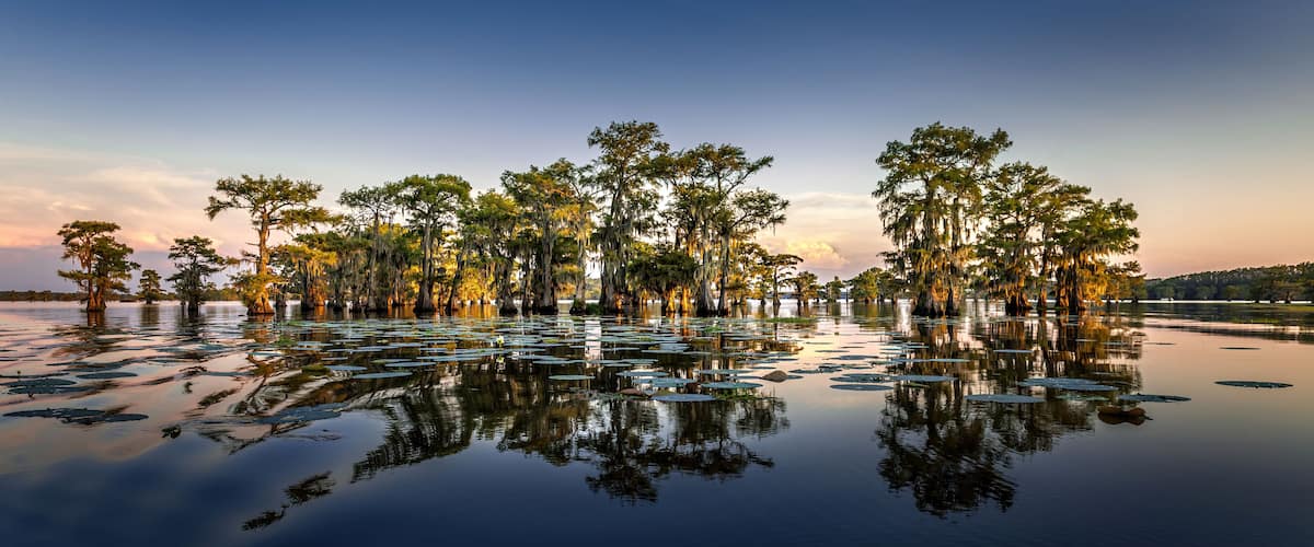 A serene lake with trees reflected in the calm water, surrounded by a clear sky.