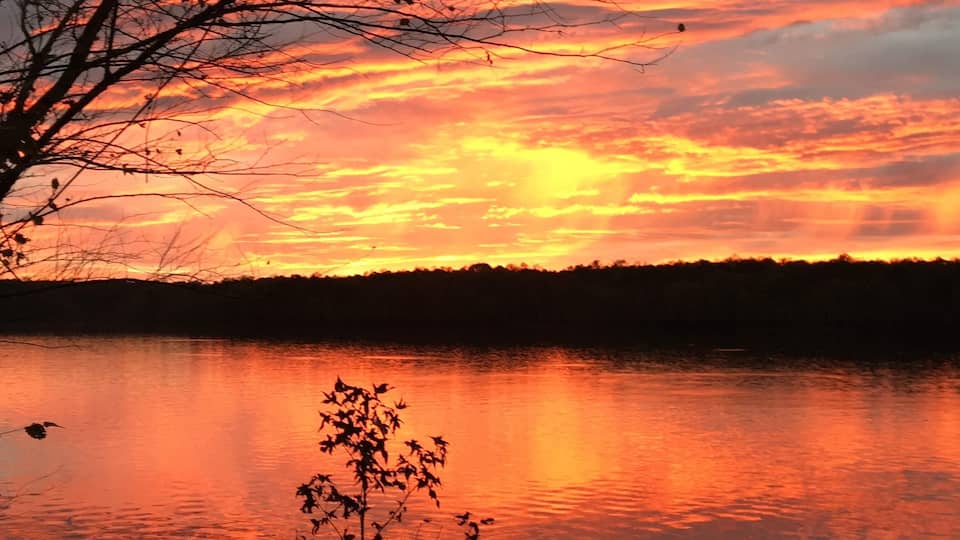 A sunset over a calm lake with silhouetted trees and a clear sky.