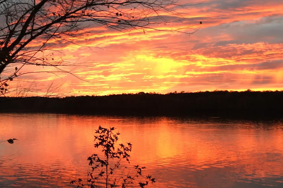 A sunset over a calm lake with silhouetted trees and a clear sky.
