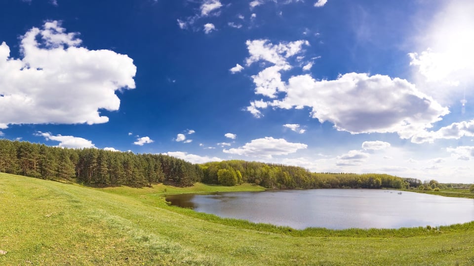 A lake surrounded by a forest and a clear blue sky.