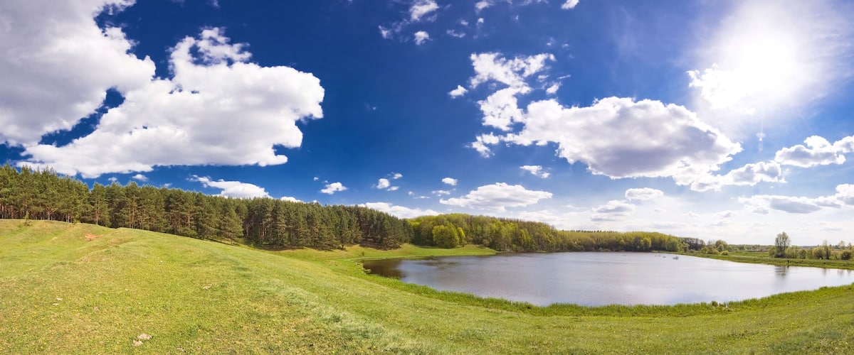 A lake surrounded by a forest and a clear blue sky.