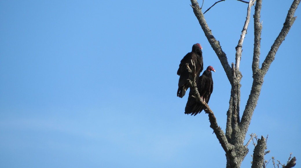 Such a nice day to go for a walk and such a great opportunity for a good picture.